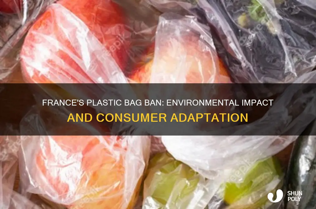 has france banned plastic bags