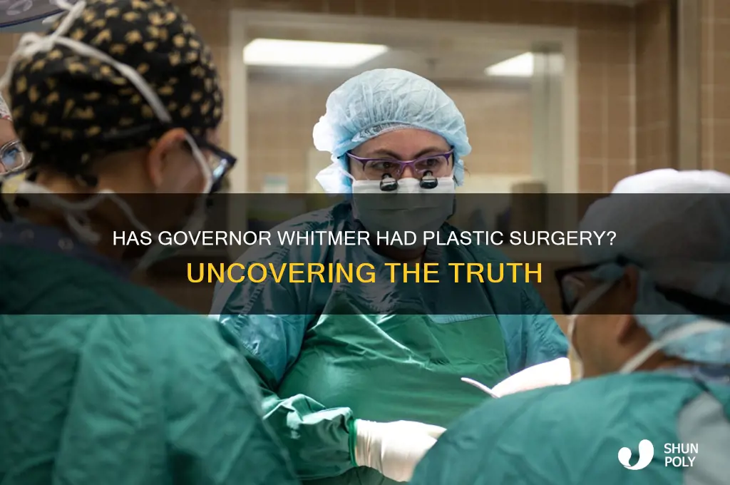 has governor whitmer had plastic surgery