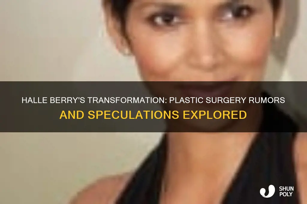 has halle berry had plastic surgery