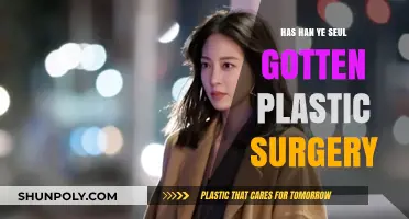 Has Han Ye Seul Had Plastic Surgery? Unveiling the Truth