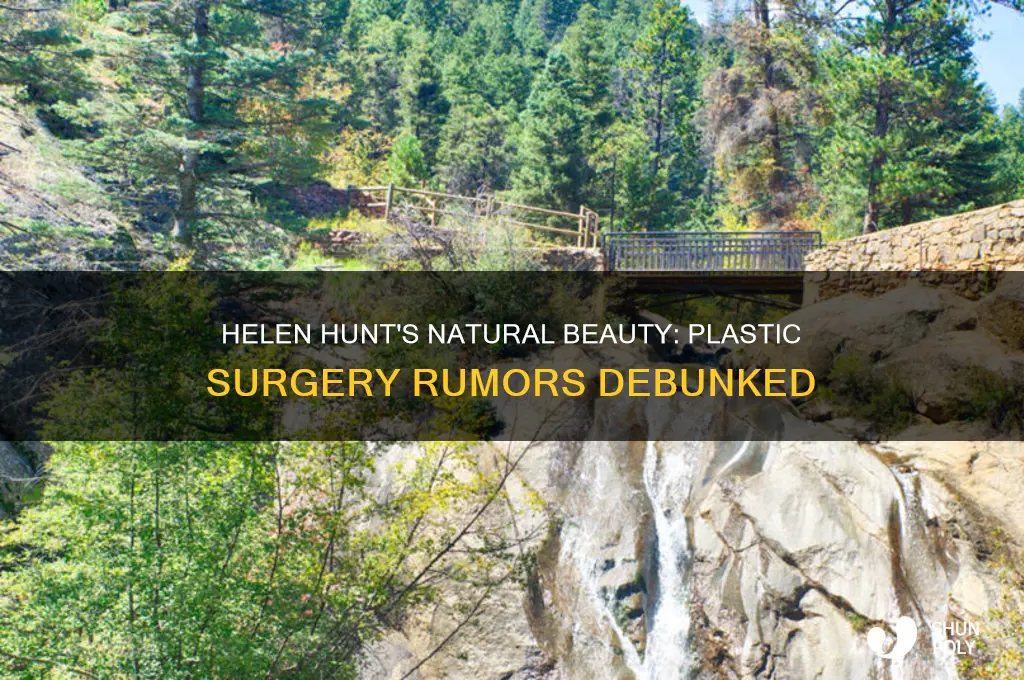 has helen hunt ever had plastic surgery