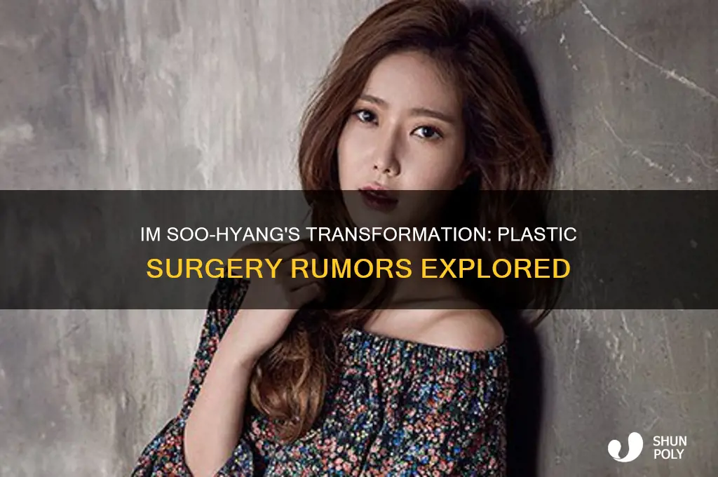 has im soo-hyang done plastic surgery