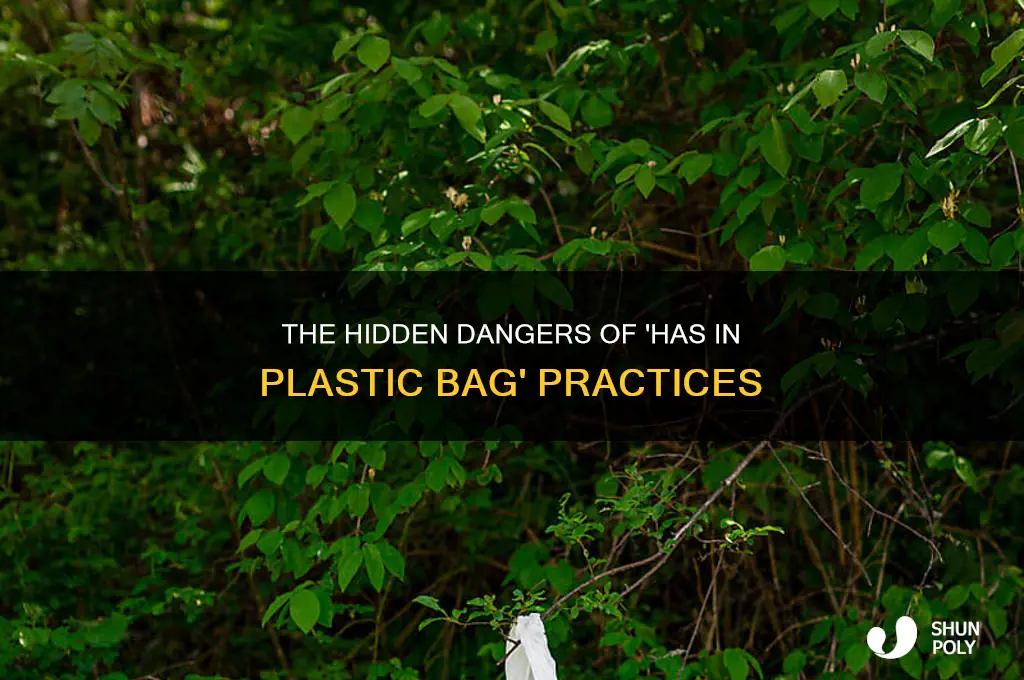 has in plastic bag