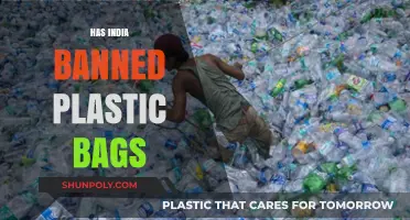 India's Plastic Bag Ban: Impact, Challenges, and Sustainable Alternatives