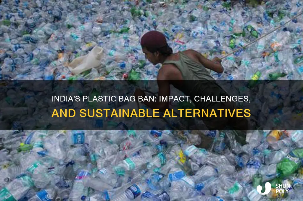 has india banned plastic bags