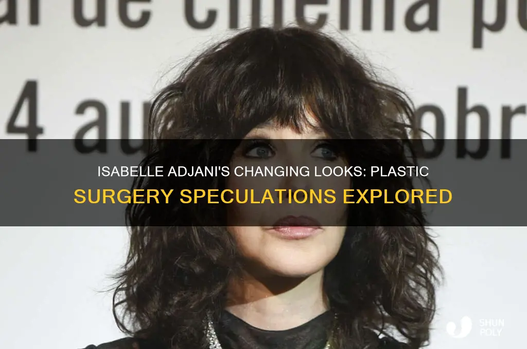 has isabelle adjani had plastic surgery