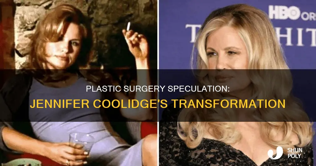 has jennifer collidhe had plastic surgury