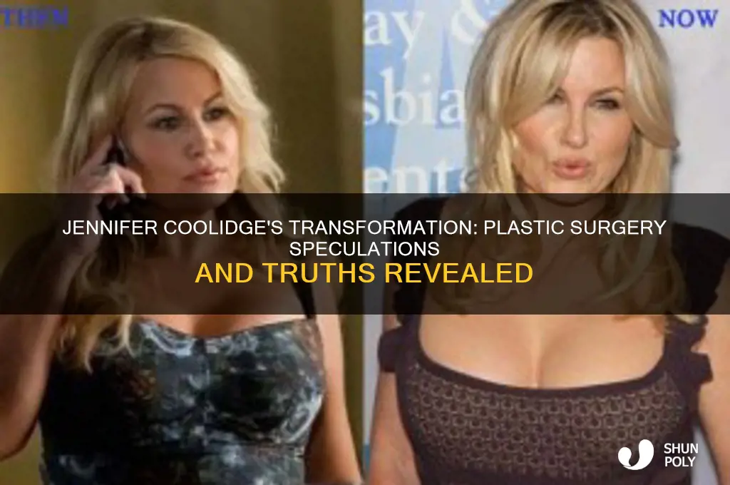 has jennifer coolidge ever had plastic surgery