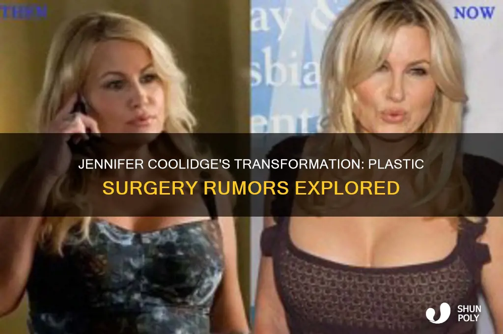 has jennifer coolidge had plastic surgery
