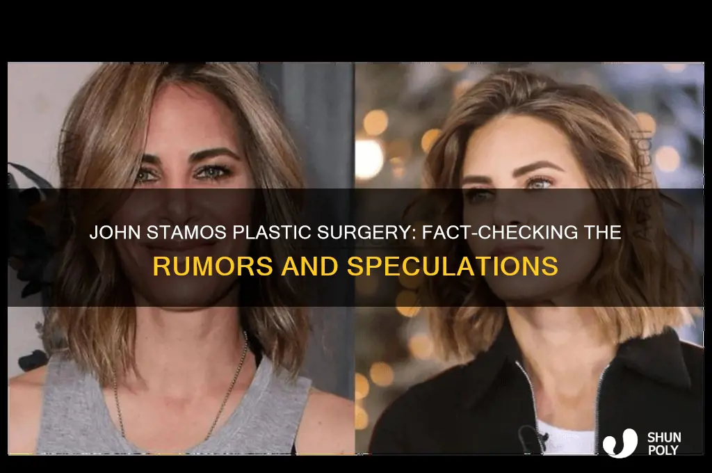 has john stamos had plastic surgery