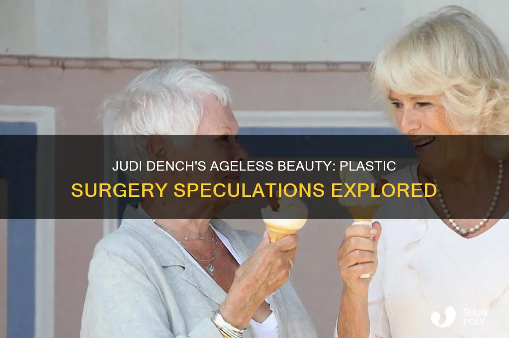 has judi dench had plastic surgery