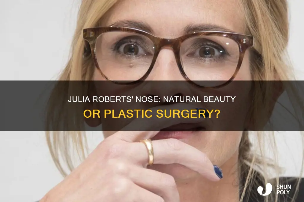 has julia roberts had any plastic surgery on her nose