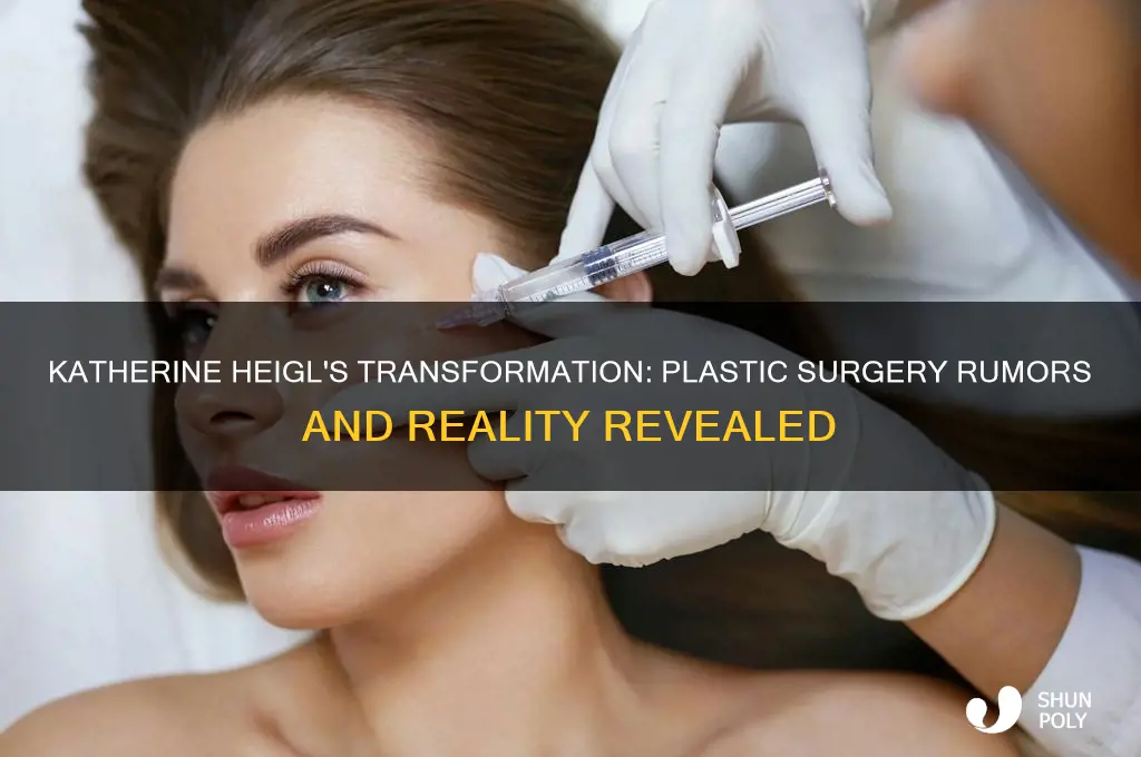 has katherine heigel had plastic surgery