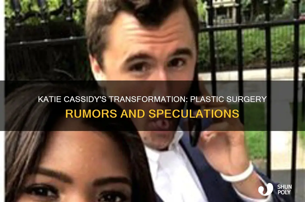 has katie cassidy had plastic surgery