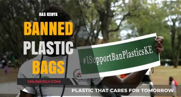 Kenya's Plastic Bag Ban: Environmental Impact and Compliance Challenges
