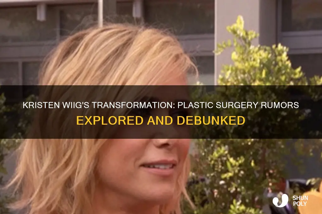 has kristen wig had plastic surgery