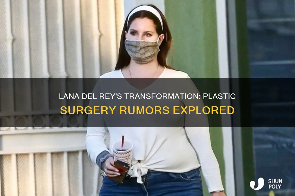 has lana del rey gotten plastic surgery