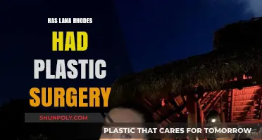 Lana Rhoades Plastic Surgery: Fact-Checking Her Transformation Rumors