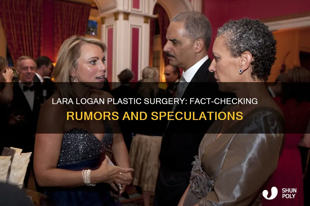 has lara logan had plastic surgery