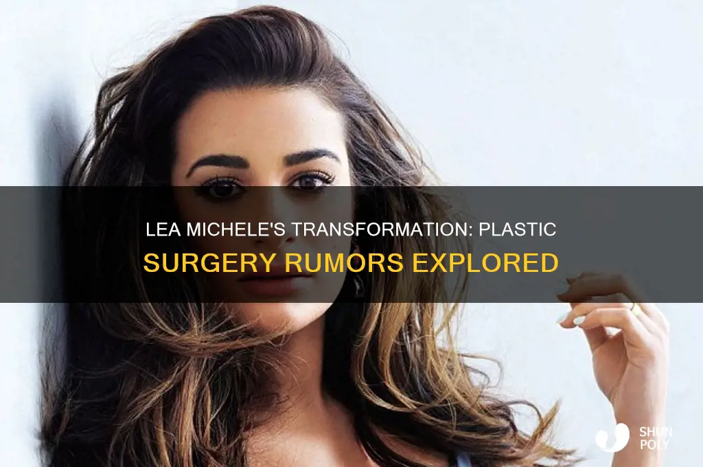 has lea michele had plastic surgery