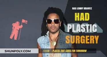 Lenny Kravitz Plastic Surgery Speculations: Fact or Fiction?
