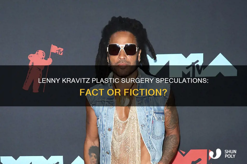 has lenny kravitz had plastic surgery