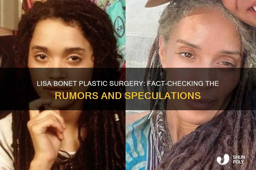has lisa bonet had plastic surgery