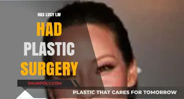 Lucy Liu's Transformation: Plastic Surgery Rumors Explored and Analyzed
