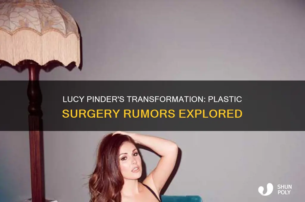 has lucy pinder had plastic surgery