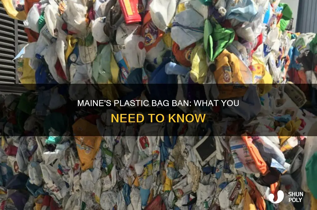 has maine banned plastic bags