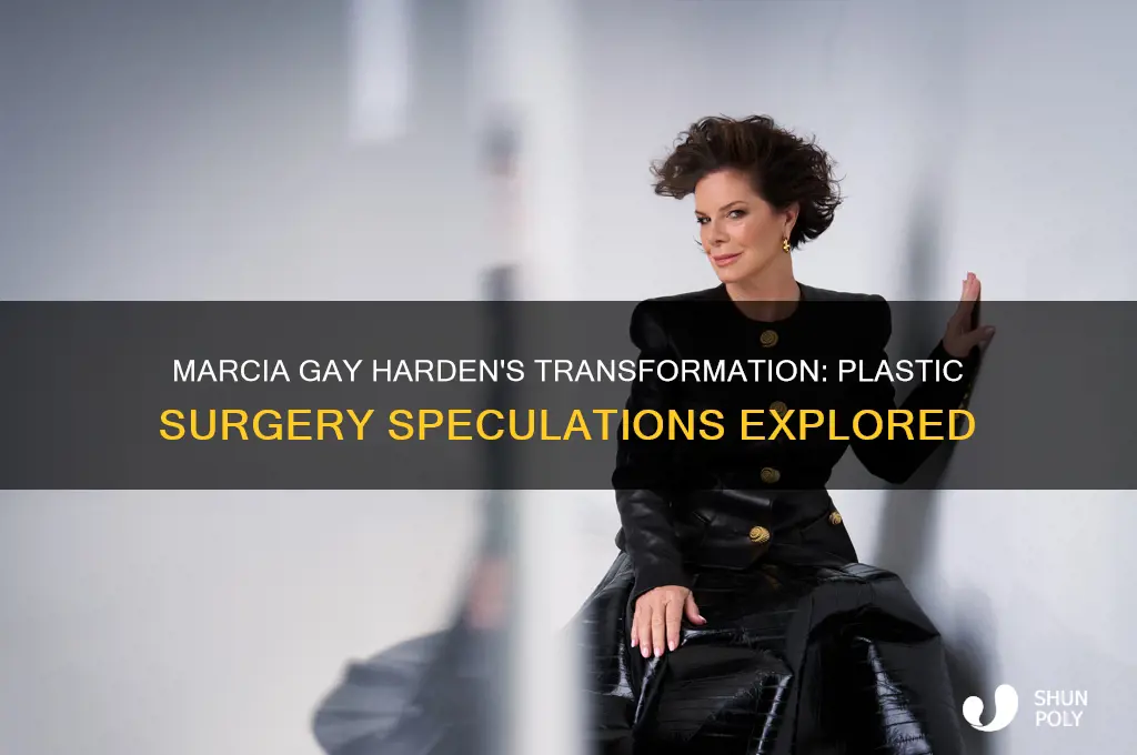 has marcia gay harden had plastic surgery