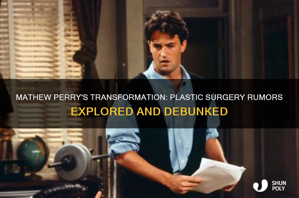 has mathew perry had plastic surgery