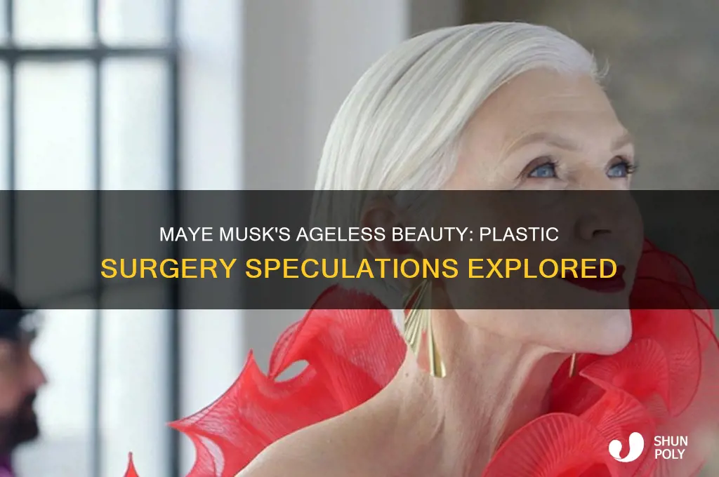 has maye musk had plastic surgery