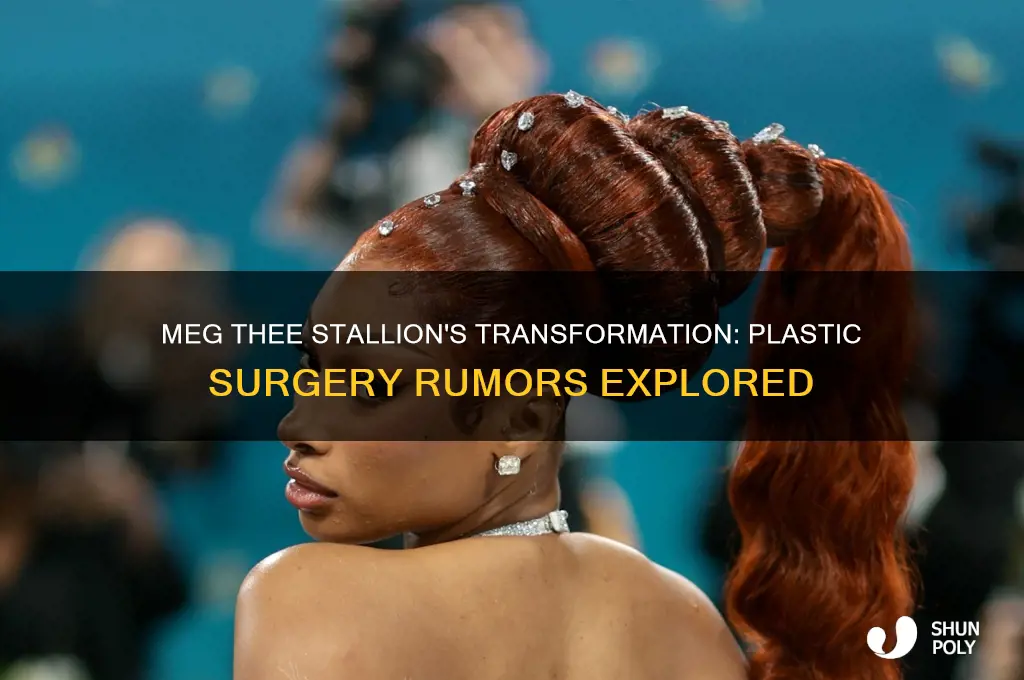 has meg the stallion had plastic surgery