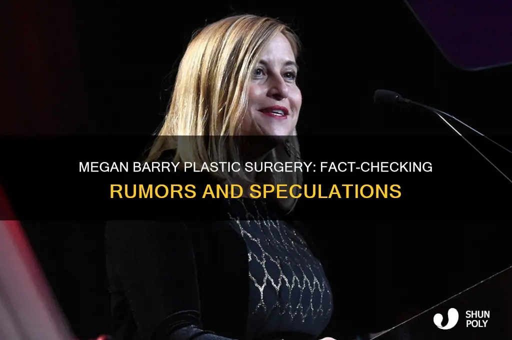has megan barry had plastic surgery