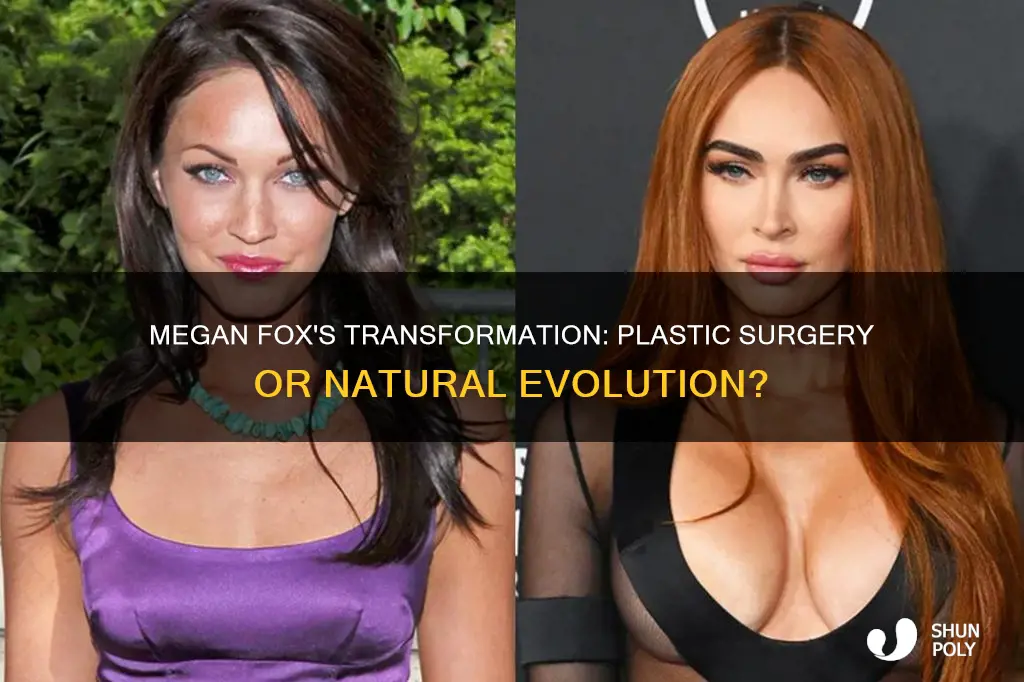 has megan fox had plastic surgury