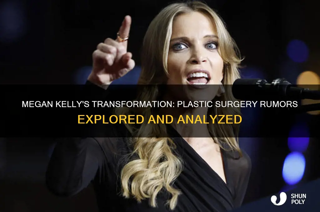 has megan kelly had plastic surgery