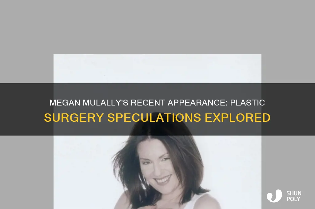 has megan mulaly had plastic surgery recently