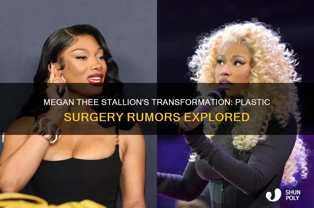 has megan the stallion had plastic surgery