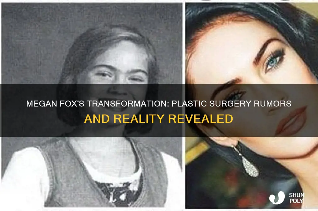 has meghan fox had plastic surgery