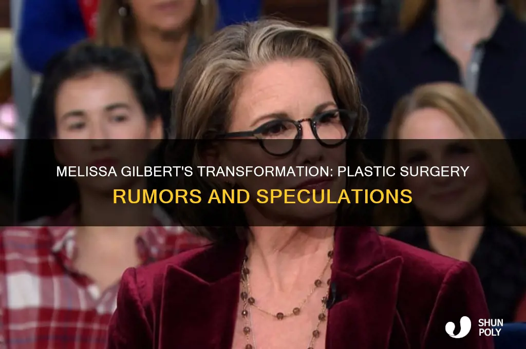 has melissa gilbert had plastic surgery