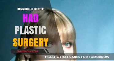 Michelle Pfeiffer's Ageless Beauty: Plastic Surgery Speculations Explored