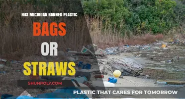 Michigan's Plastic Ban: Bags and Straws Restricted or Not?