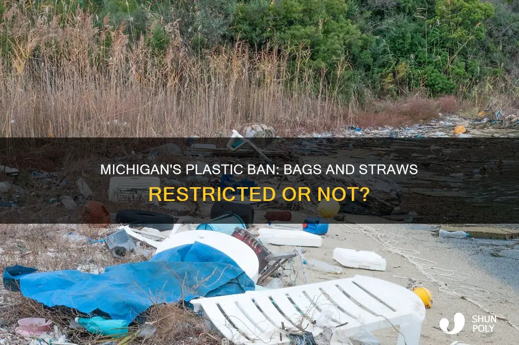 has michigan banned plastic bags or straws