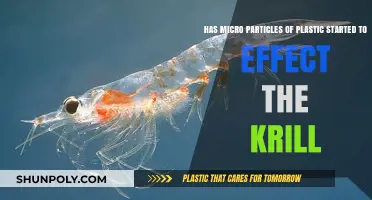 Plastic Peril: The Impact of Microplastics on Krill Populations