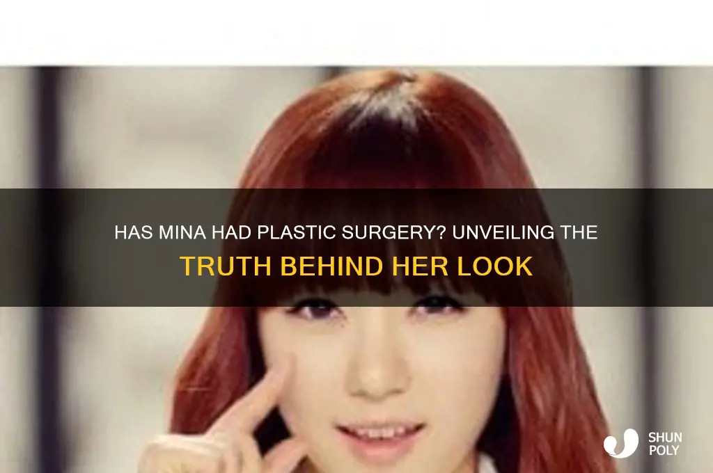 has mina had plastic surgery