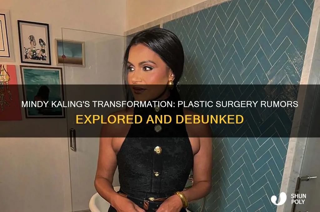 has mindy kaling had plastic surgery