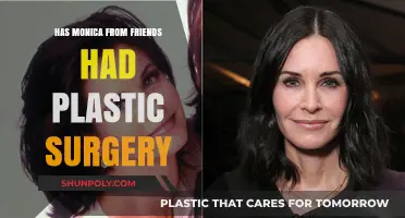 Monica from Friends: Plastic Surgery Rumors and Speculations Explored