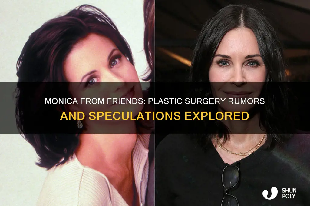 has monica from friends had plastic surgery