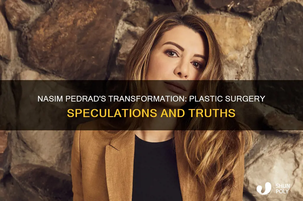 has nasim pedrad had plastic surgery